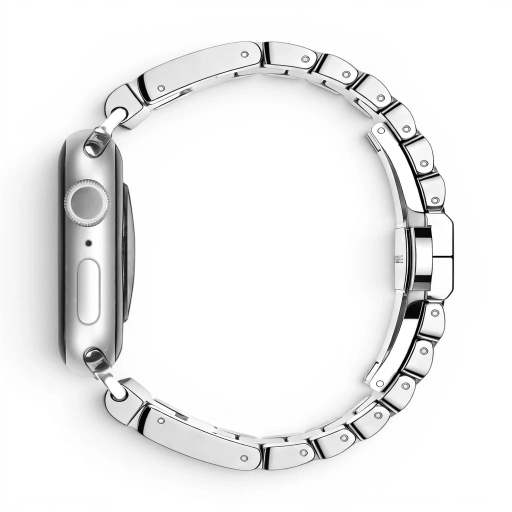 Bracelet Régent acier classique lumière stellaire, vue de face 6 - Apple Watch | Clipz-it